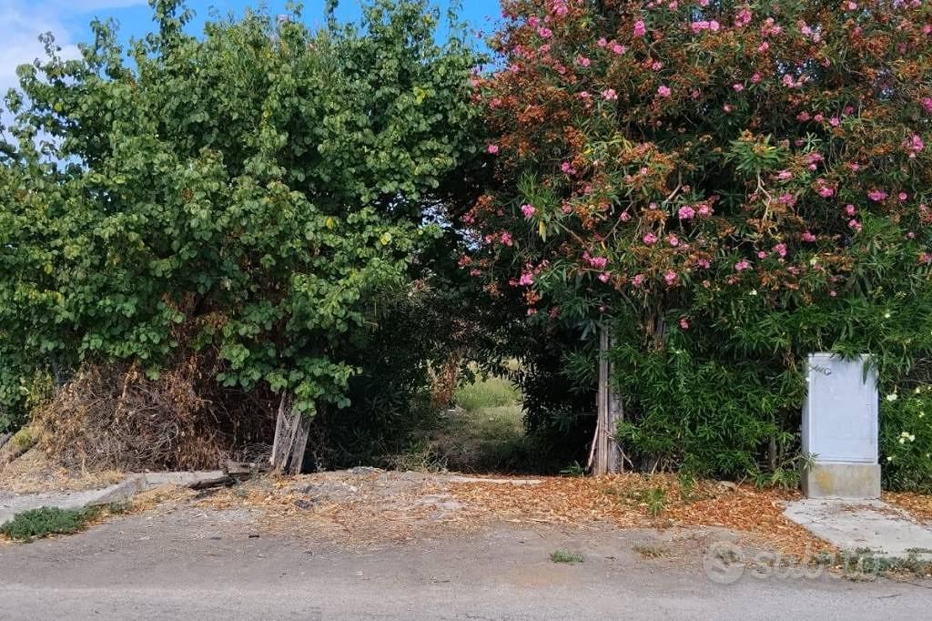 Terreno di 14000 m² a Badolato - Vista 3