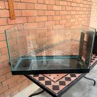 Acquario