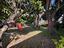 Immagine 14
