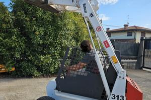 P180-Mini Pala Bobcat 313