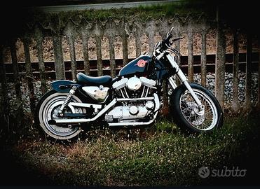 harley davidson 883 