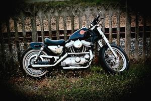 harley davidson 883 