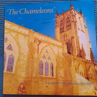 The Chameleons, A Person Isn't Safe, EP 12" Vinile