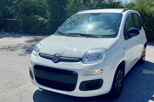 Panda k way 2016