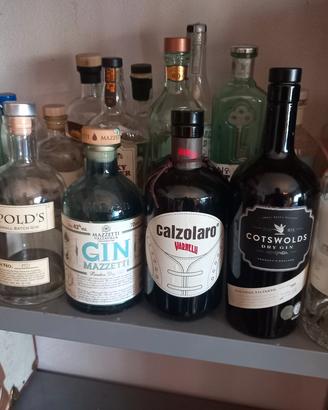 Bottiglie vuote di gin
