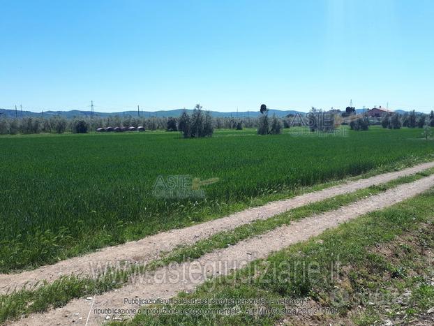 Terreno Agricolo Suvereto [A4284219]