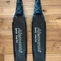 PINNE ALEMANNI INCARBONIO DEEP SEA