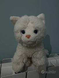 gattino peluche