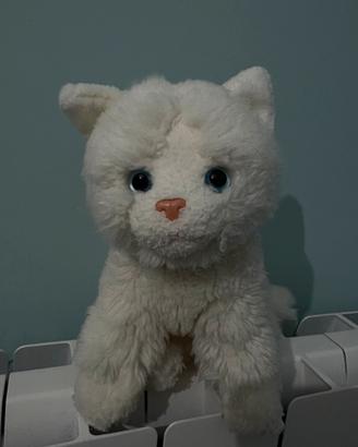 gattino peluche