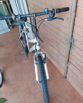 Mountain bike donna 18 rapporti