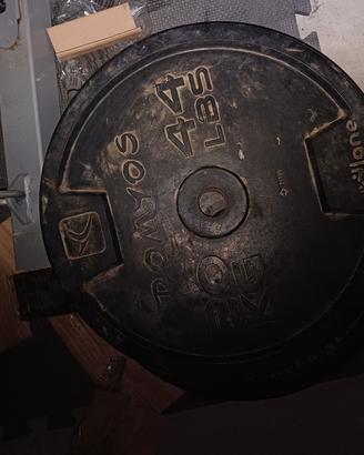 dischi pesi 20kg