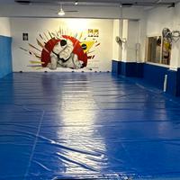 Telo in PVC ideale per copertura tatami