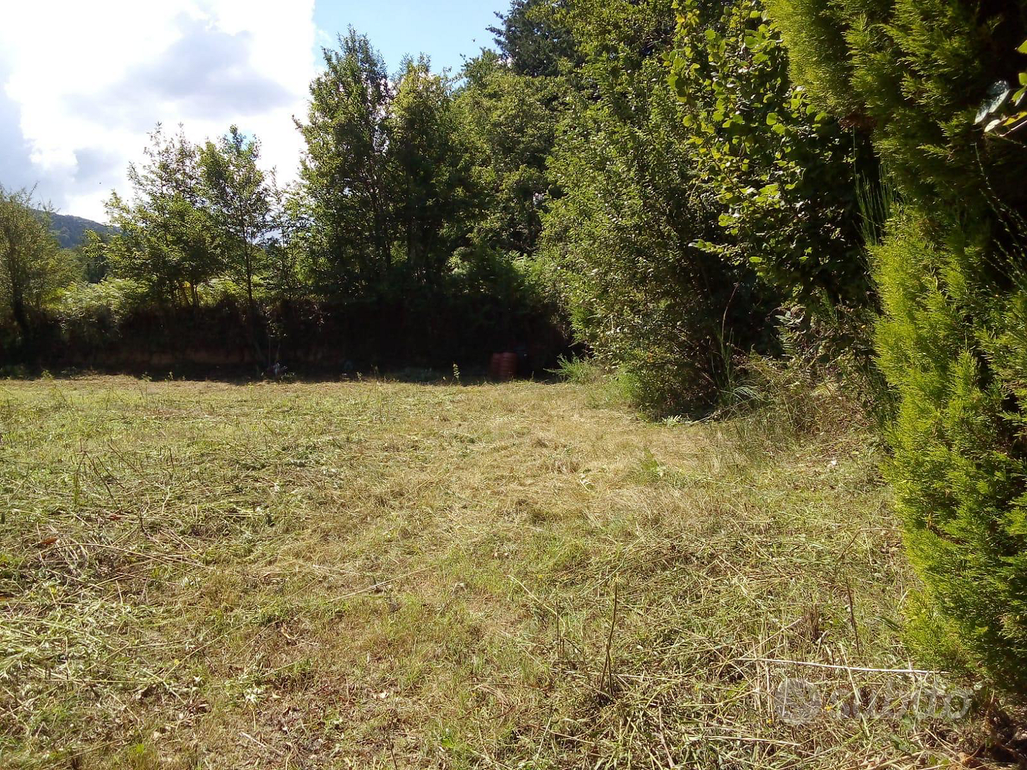 Terreno agricolo - Altro
