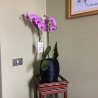 Vaso Indeciso Stampa 3D