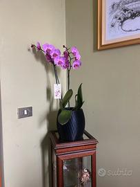 Vaso Indeciso Stampa 3D