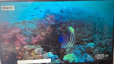 TV LED 40" Samsung Full HD (Perfetto Stato)