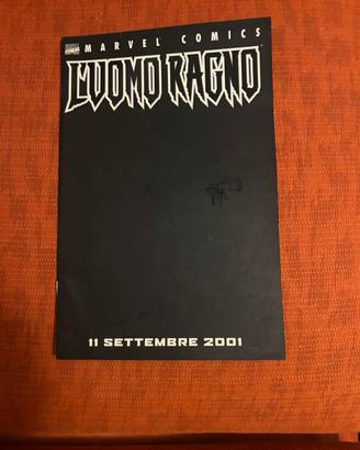 Uomo, ragno
