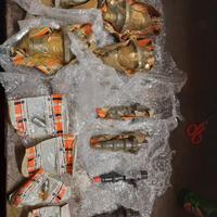 iniettori lombardini 