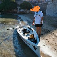 Yole Virusboat France