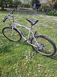 bici mountain bike