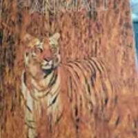 libro come si nascondono i animali , National geog