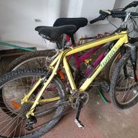 2 Biciclette MTB WILIER TRIESTINA Taglie M e L