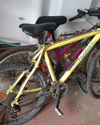 2 Biciclette MTB WILIER TRIESTINA Taglie M e L