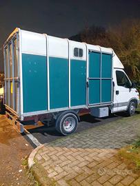 Camioncino cavalli