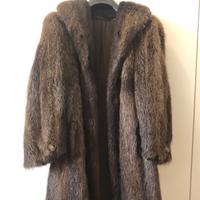 Pelliccia castorino