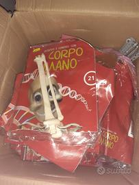 Collezione Completa "Divertiti e Conosci il Corpo