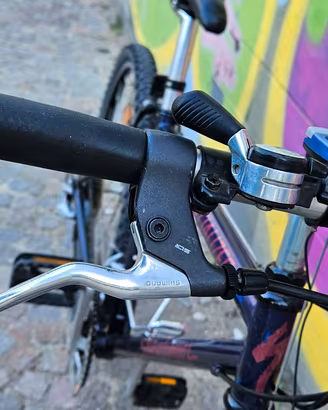 Specialized Stumpjumper
