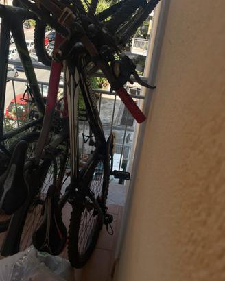 MTB LOMBARDO