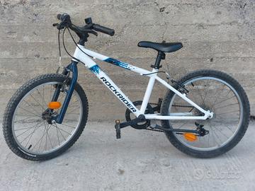 bici 20