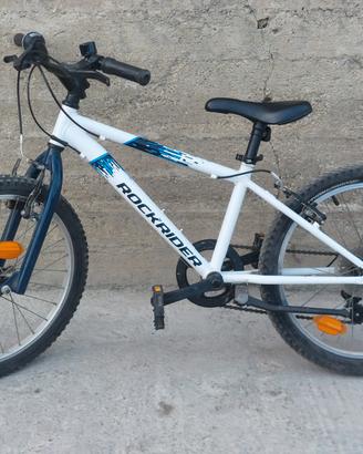bici 20