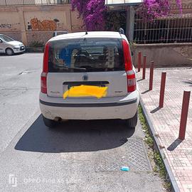 Fiat Panda Bianco