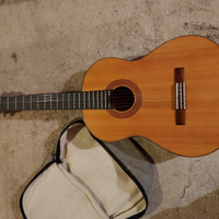 Chitarra eko modello spencer