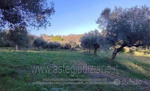 Terreno Agricolo Montesilvano [A4323879] - Vista 2
