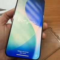 iPhone 15 Pro Max 256GB Bianco - Prezzo trattabile