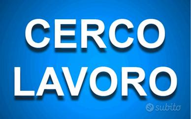 Qualsivoglia lavoro, libero subito