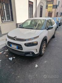 Citroen C4 Cactus BlueHDi 2019
