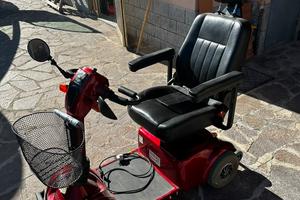 Motorino elettrico anziani