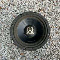 woofer piooner TS-W301