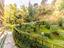 Immagine 25