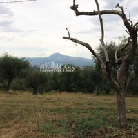 Casale / Rustico - Folignano