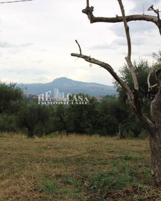 Casale / Rustico - Folignano