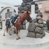 Permuto pony femmina con cavalla più grande