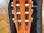 Immagine 5