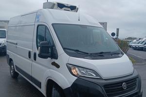 Iveco fiat ducato anno 2021 frigo e.6