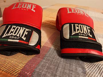 guantoni da boxe