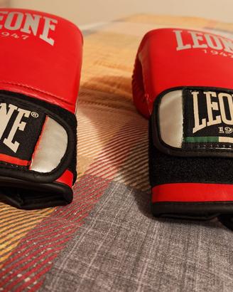guantoni da boxe